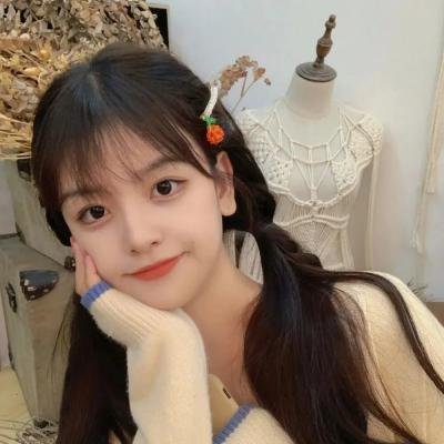 机甲少女 Frame Arms Girl